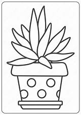 Cactus Coloring Pages Cute Book Prickly sketch template