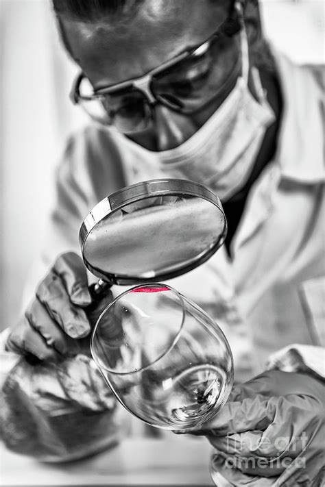 forensics expert examining crime scene evidence photograph by microgen