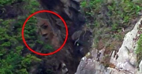 giant face   cliff  accidentally discovered   man fact leaks