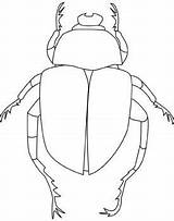 Coloring Insect Beetles Forbidden Peep sketch template