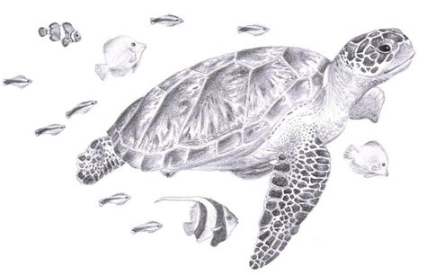 earthtrust wildlife conservation worldwide sea turtle art sea