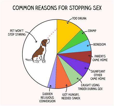 11 Helpful Charts That Explain Sex