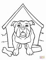 Bulldog Kolorowanka Buldog Budzie Kennel Kolorowanki Angielski Psy Cani Kleurplaten Druku Bulldogs Hondenhok sketch template