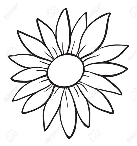 black  white flower outline    clipartmag
