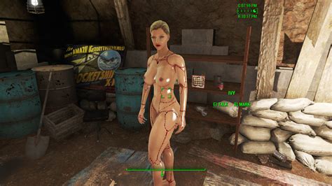 Meet Companion Ivy Page 28 Downloads Fallout 4 Adult