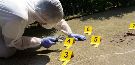 crime scene investigation news research  analysis