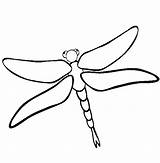 Dragonfly Coloring Pages Cute Printable Insect Clipart Drawing Dragon Fly Animal October Color Kids Cartoon Animals Print Online Drawings Cliparts sketch template