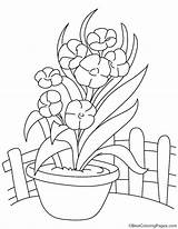 Coloring Orchid Pages Flower Getcolorings Vase Color Comments sketch template