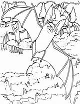 Fledermaus Ausmalbilder Eared Bats sketch template