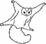 Squirrel Coloring Pages Flying Printable Drawing Cute Color Getdrawings Getcolorings sketch template