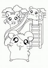 Coloring Pages Cute Hamster Hamtaro Kids Hamsters Ham Popular Printable Friends Choose Board Coloringhome sketch template