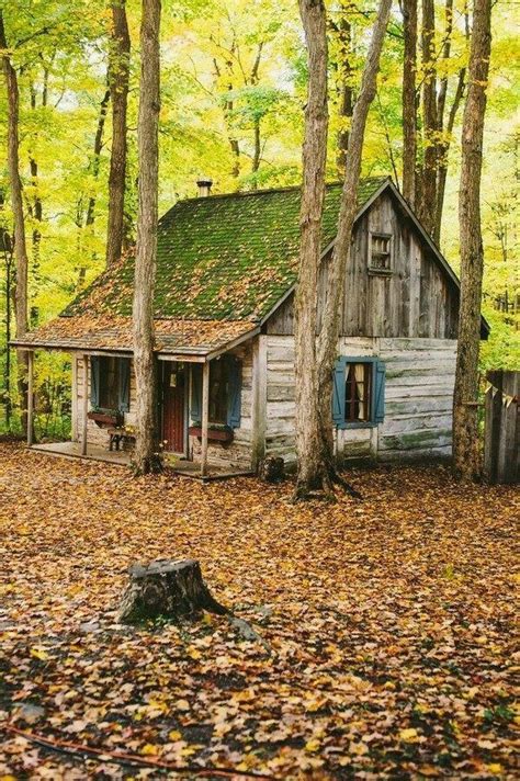 images   log cabins  pinterest cabin porches small log cabin  log houses
