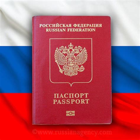 russian passport buy documents online