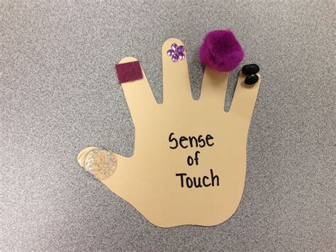 senses craft sense  touch    senses activities