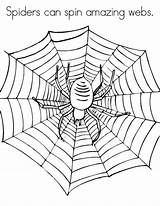 Spider Coloring Web Spin Spiders Amazing Color Luna sketch template