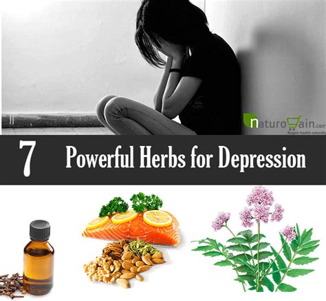 7 powerful herbs for depression treat depression naturally
