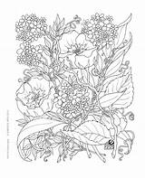 Garden Coloring Secret Pages Enchanted Forest 塗り絵 Book Printable Color Adult Inspirational 大人 細かい Getcolorings ぬりえ いっぱい Colori  Books sketch template