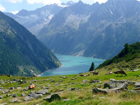zomervakantie  tirol een onvergetelijke belevenis voor het hele gezin alpenreizen