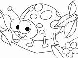 Ladybug Coloring Pages Bug Printable Colouring Ladybird Girl Lady Drawing Color Kids Animals Lightning Print Cute Getcolorings Getdrawings Toddlers Colorings sketch template