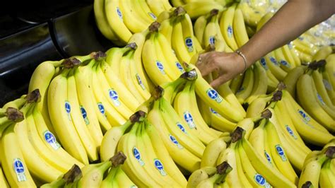 Los Mayores Exportadores De Banano Del Mundo Cluster Banano