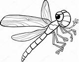 Libellule Dragonfly Insect Insectes Depositphotos sketch template