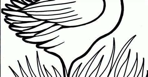 coloring page  kids duck coloring child coloring