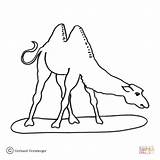 Camel Coloring Pages Hump Two Egyptian Kamel Color Printable Zum Ausmalen Drawing sketch template