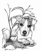 Jack Russell Terrier Coloring Pages Drawing Dog Dogs Drawings Draw Van Chien Artwork Terriers Russells Cute Russel Cross Colouring Grove sketch template