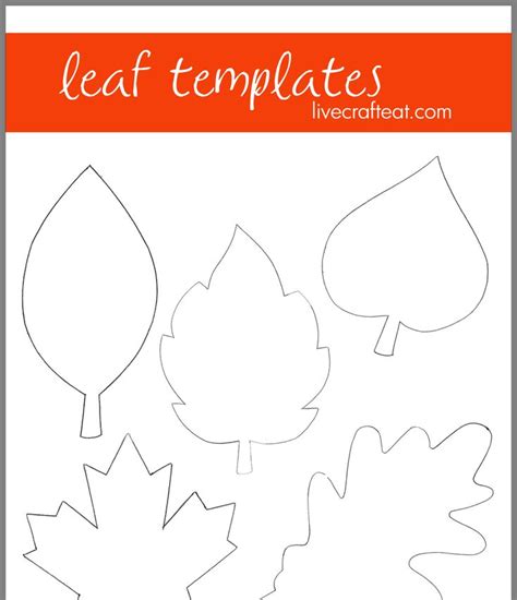 pin  danielle  crafts leaf template printable leaves crafts