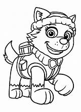 Patrol Paw Everest Coloring Pages Printable Colorare Da Disegni Template sketch template