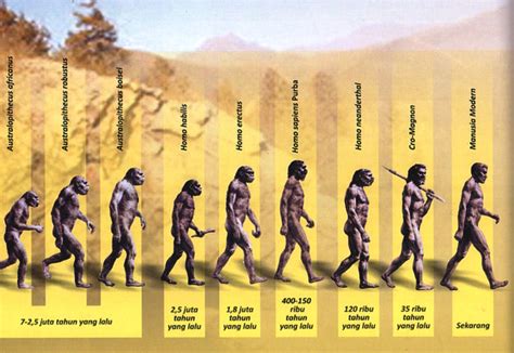 tentang manusia pertama teori darwin  nabi adam
