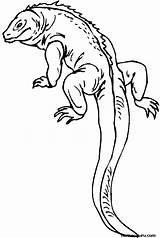 Lizard Coloring Pages Reptile Printable Kids Outline Print Colouring Gecko Color Salamander Long Drawing Sheets Tail Reptiles Realistic Template Monitor sketch template