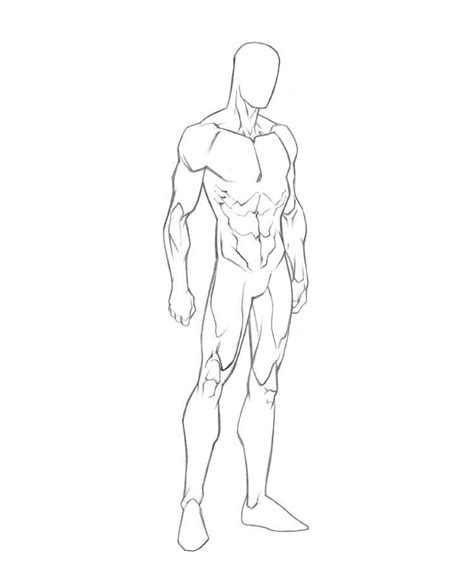 male body template stunning templates