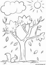 Coloring Nature Tree Pages Fall Printable Book sketch template