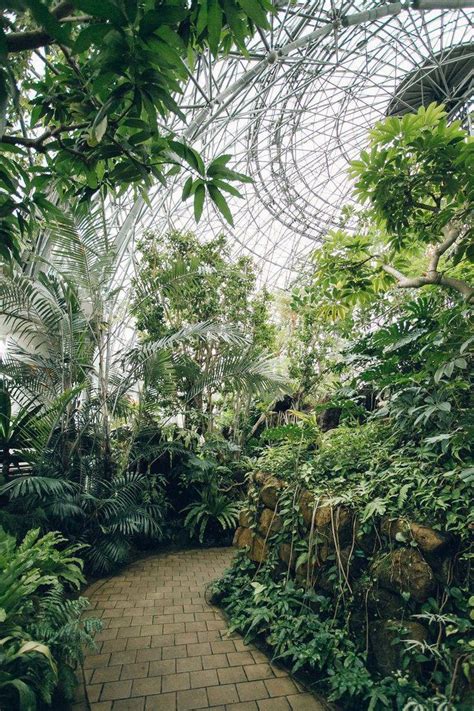 perfect photo indoorgreenhouse tropical greenhouses plant aesthetic