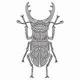 Woodcutter Beetle Doodle Brazilian Drawn sketch template