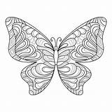 Butterflies Insect sketch template