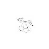 Cherry Coloring Pages sketch template