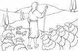 Brebis Pastor Biblekids Bom Berger Parabole Sheep Depuis sketch template