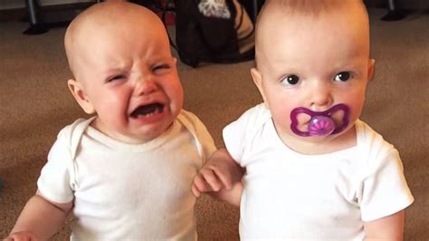 twin baby girls fight  pacifier youtube