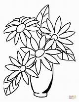 Daisies sketch template