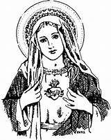 Immaculate Virgin Immacolata Colorare Maestrarenata Cielo Mamma Marysrosaries sketch template
