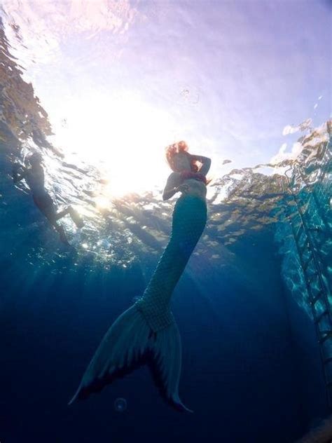 foto mermaid melanie sosok putri duyung cantik di dunia nyata