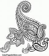 Coloring Paisley Pages Popular sketch template