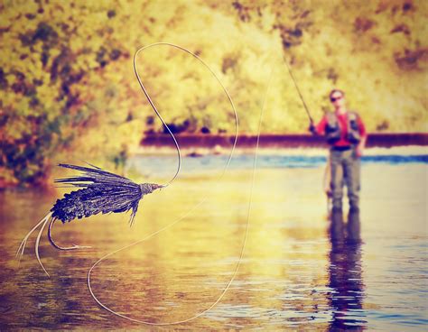 fly fishing basics  beginner