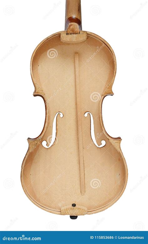 violin   royalty  stock   dreamstime