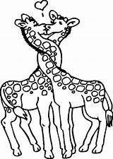 Colorat Girafa Imagini Desene sketch template