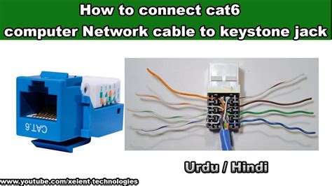wiring  cat jack