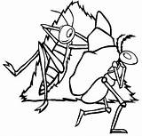 Grasshopper Coloring Ant Pages Kids Ants Lazy Colour Grasshoppers sketch template