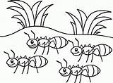 Coloring Ant Pages Ants Marching Kids Grasshopper Color Go Clipart Print Printable Popular Happy Getdrawings Getcolorings Library Anteater sketch template